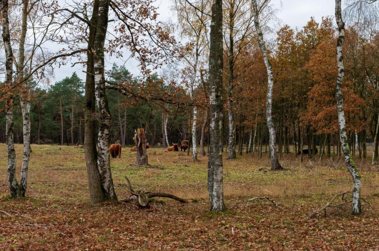 "Dennenhuisje" Op Bospark Ijsselheide Hattemerbroek Luaran gambar