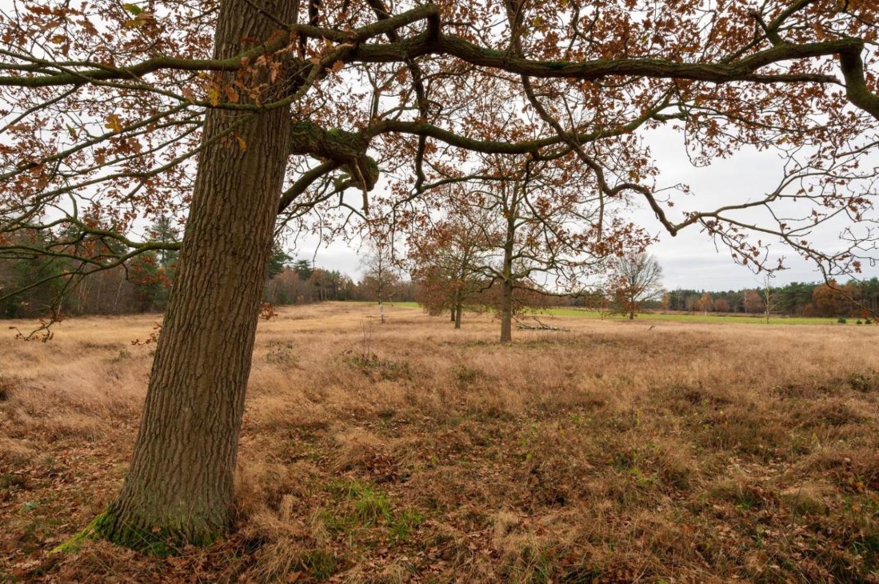 "Dennenhuisje" Op Bospark Ijsselheide Hattemerbroek Luaran gambar